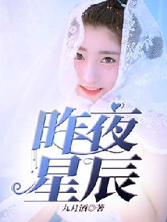 昨夜星辰 封面