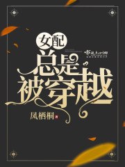 女配总是被穿越 封面