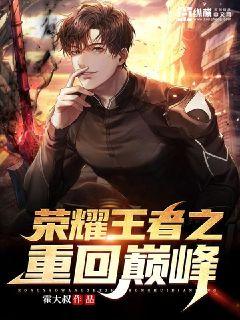 荣耀王者之重回巅峰 封面