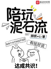 陪玩泥石流 封面