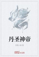 丹圣神帝 封面