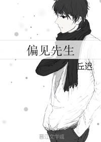 偏见先生 封面