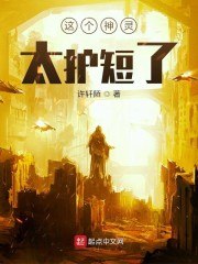 这个神灵太护短了 封面