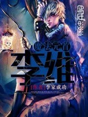 魔法元首李维 封面