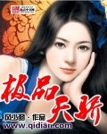 极品天骄 封面