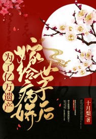嫁前夫 封面