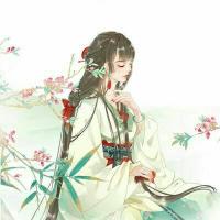 农门相公追妻忙苏红珊韩夜霖 封面