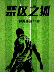 禁区之狐 封面