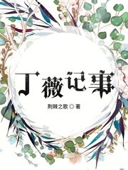 丁薇记事 封面