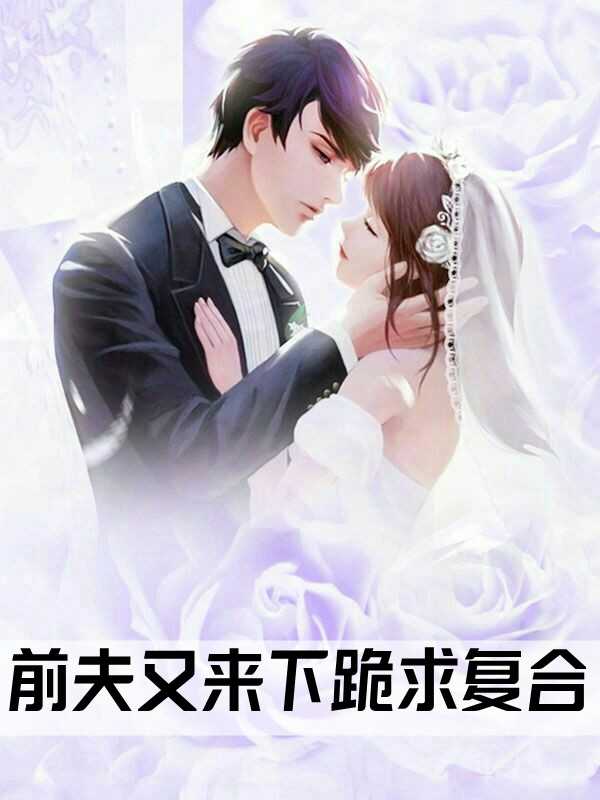 明末:我劝家父做曹操 封面