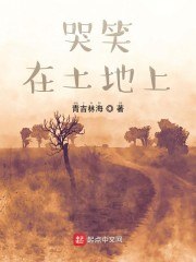 哭笑在土地上 封面