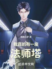 唯我独法：我在都市修奥法 封面