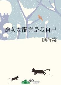 炮灰女配竟是我自己 封面