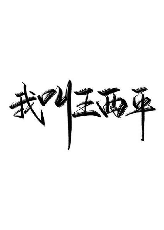 我叫王西平 封面