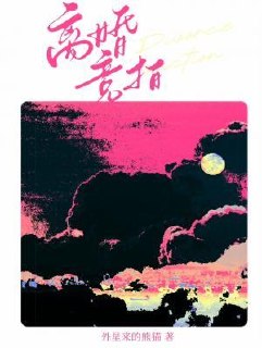 离婚竞拍 封面