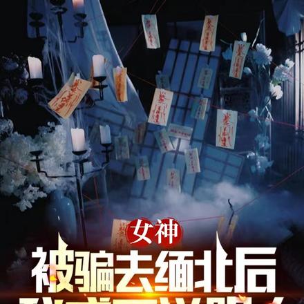 女神被骗去缅北后，我成了送阴人 封面