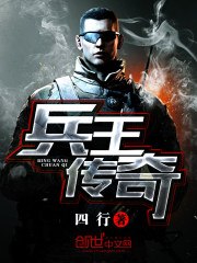 兵王传奇 封面