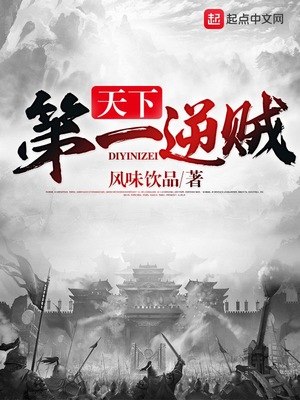 天下第一逆贼 封面
