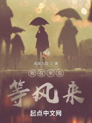我在半岛等风来 封面