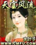 天宝风流 封面