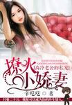 独家宠婚：高冷老公呆萌妻 封面