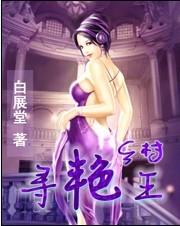 乡村寻艳王 封面