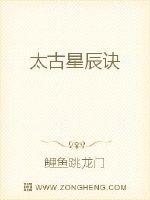 太古星辰诀 封面