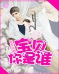 宝贝你是谁 封面