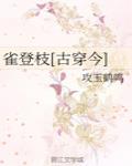 雀登枝[古穿今] 封面