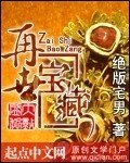 再世藏宝 封面
