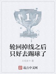 轮回掉线之后只好去踢球了 封面