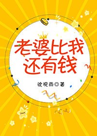 老婆比我还有钱 封面