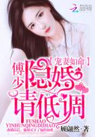 隐婚请低调 封面
