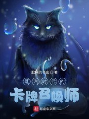 蒸汽时代的卡牌召唤师 封面