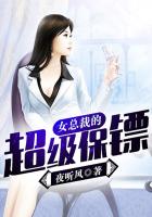 王者归都赵成风夏冰冰 封面
