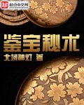 鉴宝秘术 封面