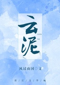 云泥青崖山人全文 封面