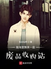 脑海里飘来一座废品收购站 封面
