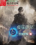 虚实进化 封面