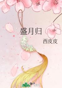 盛月归 封面