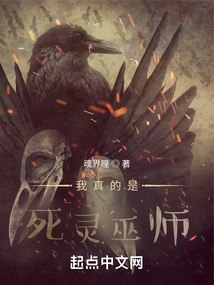 我真的是死灵巫师 封面