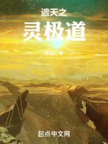 遮天之灵极道 封面