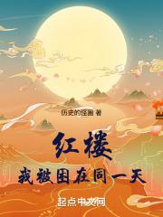 红楼:从拯救薛宝钗开始 封面