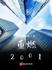 重燃2001 封面