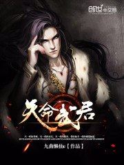 天命武君 封面