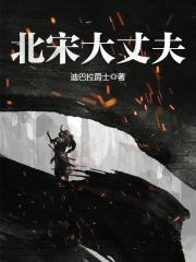 北宋大丈夫 封面