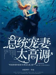 总统宠妻太高调 封面