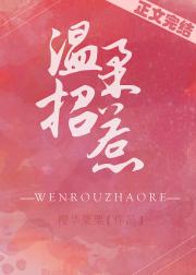 温柔招惹 封面